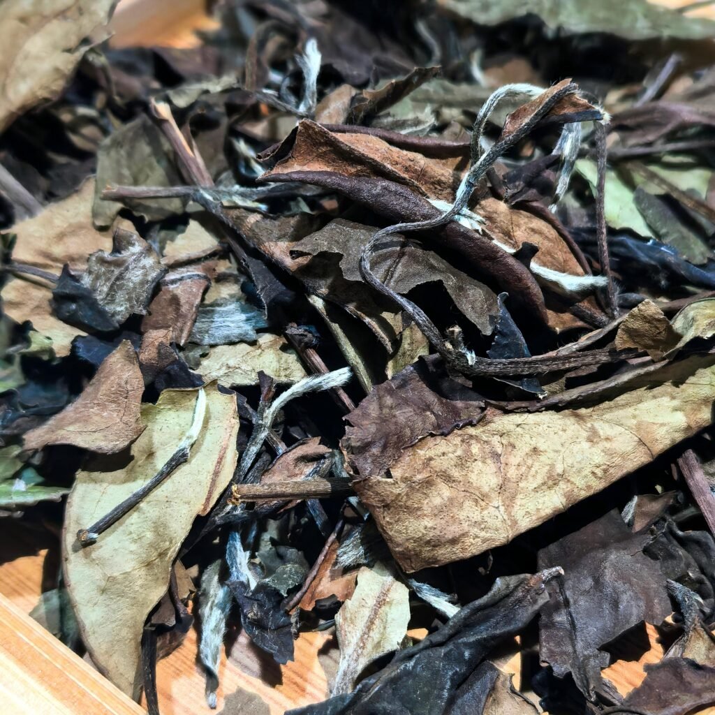 Shoumei white tea shown as loose leaf, compressed cake, and aged tea — a variety that transforms with time.