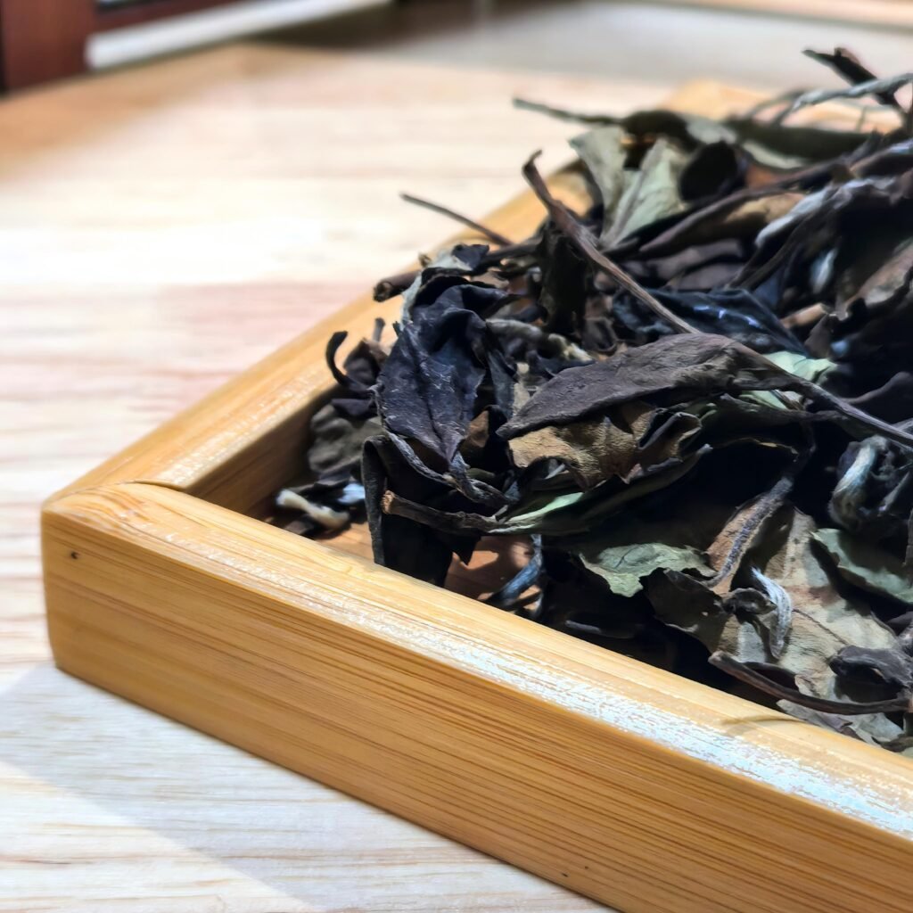 2025 Shou Mei white tea loose leaves from Fujian's Shouning high mountains, perfect for daily gaiwan brewing