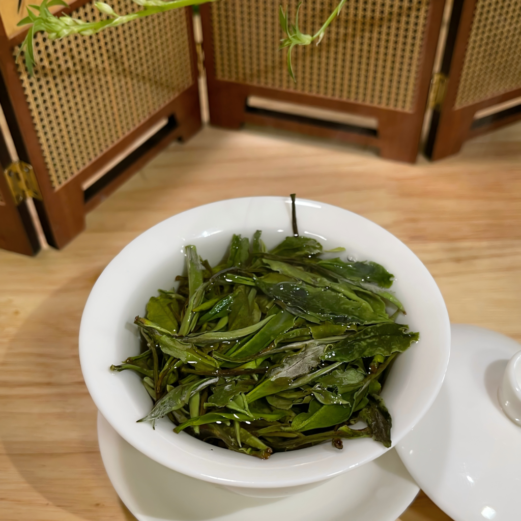 White Peony tea leaves unfurling in a glass cup, with silvery down visible in the water