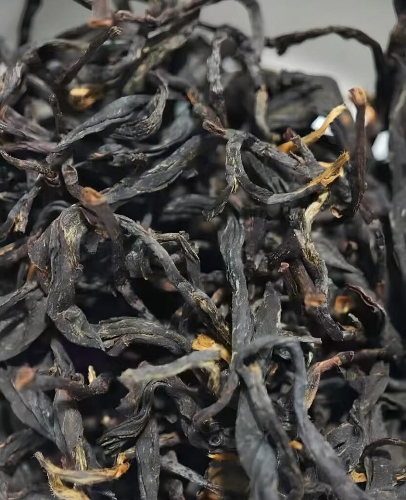 Jin Mu Dan 2026 spring tea leaves showing golden peony tips and mature leaf structure