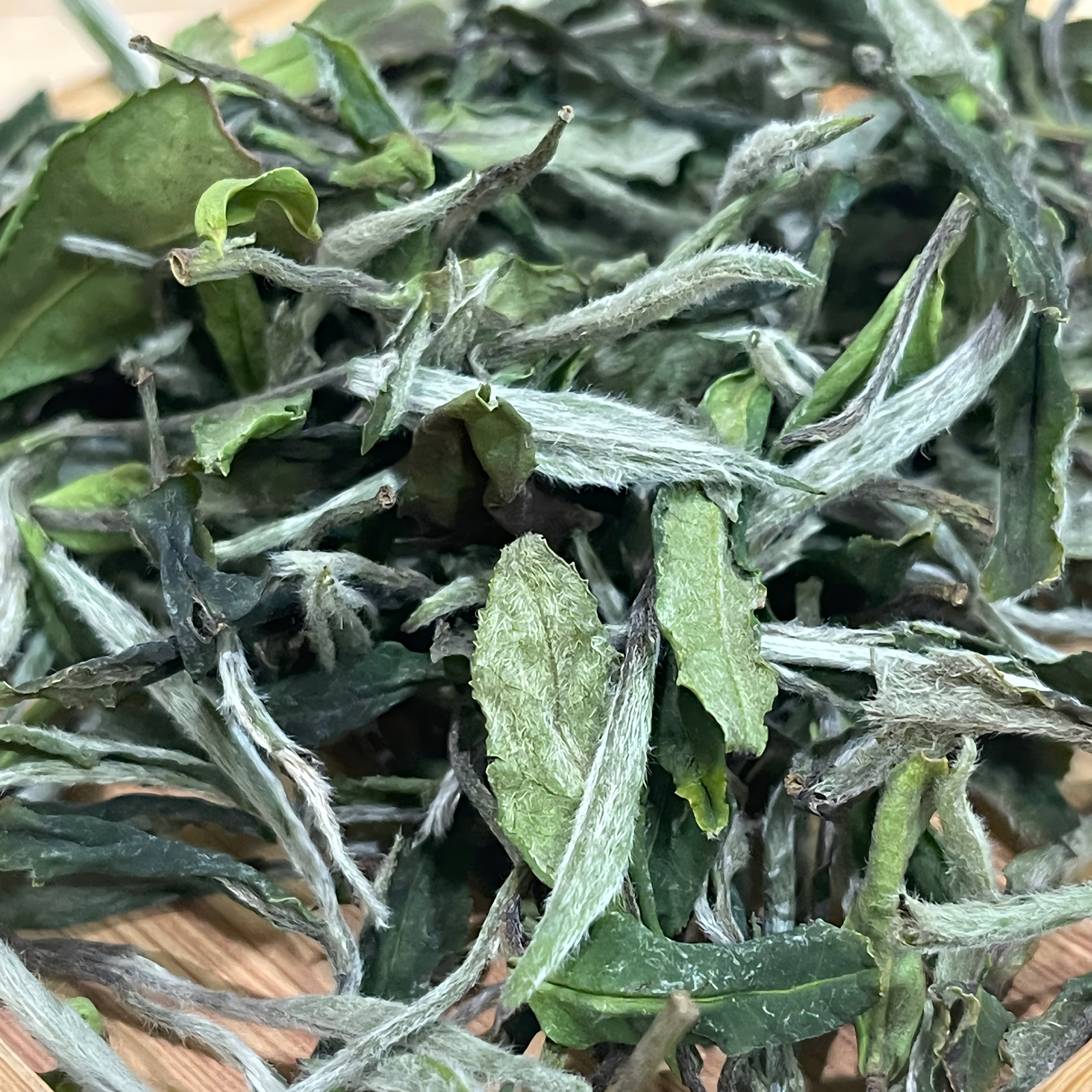 bai mu dan white peony tea leaves with buds and young leaves