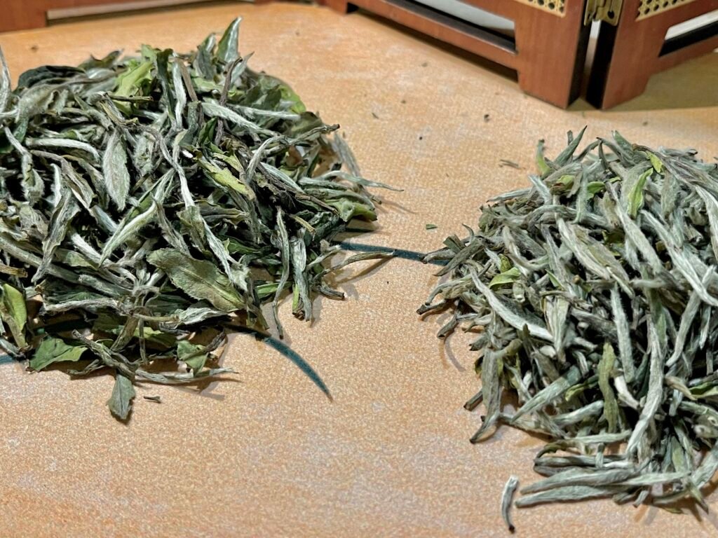 comparison of bai mu dan and silver needle tea leaves