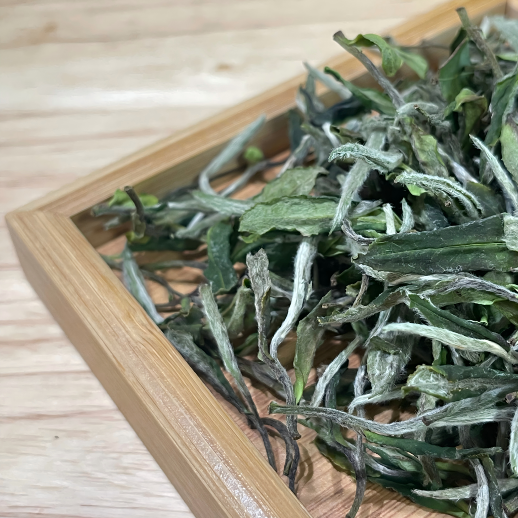 white tea loose leaf with light floral appearance
