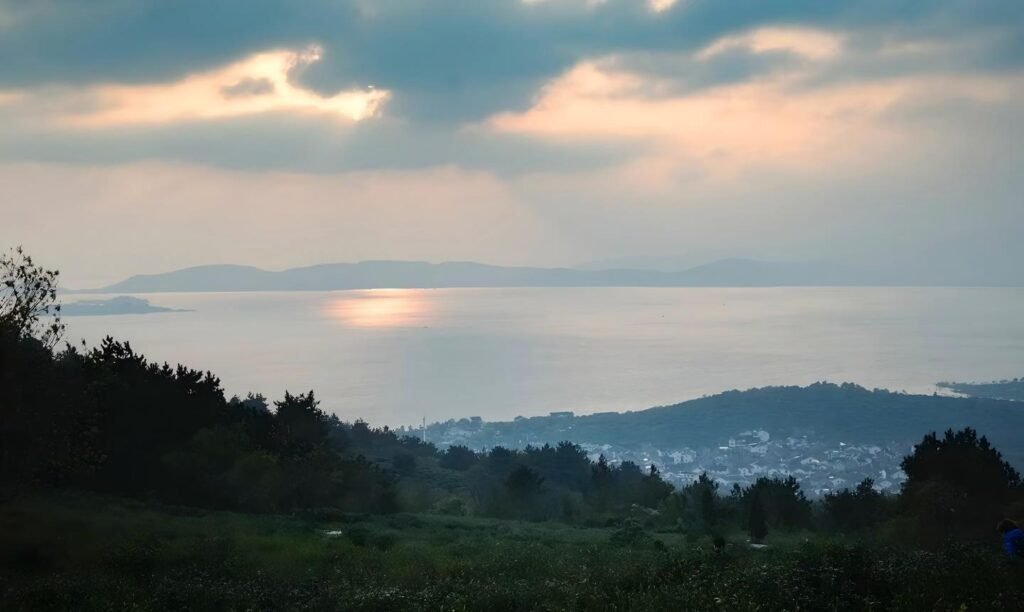 dongting Mountain tea bushes interplanted with loquat and plum trees on misty Taihu Lake shore