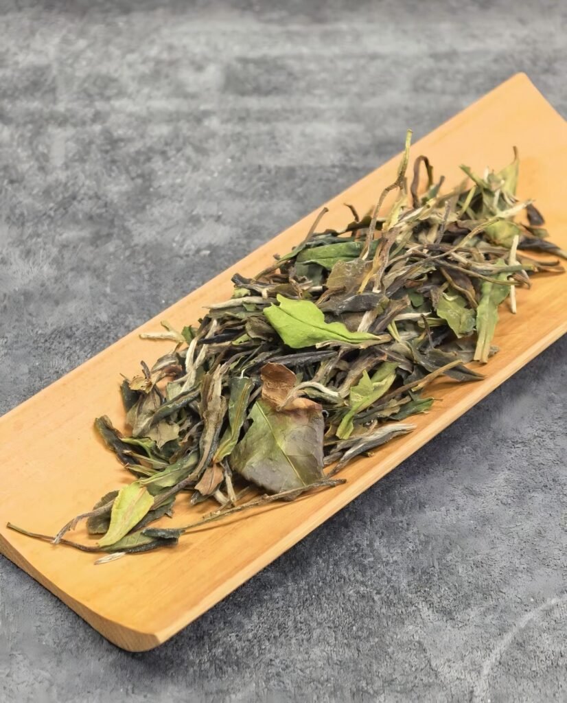 Gongmei white tea — emerald-green mature leaves with silvery bud hearts, from heirloom Caicha bushes.