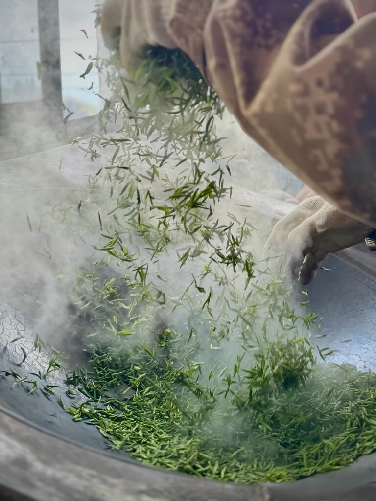 A Chinese tea master tossing green tea leaves in a hot iron wok during the pan-firing fixation step