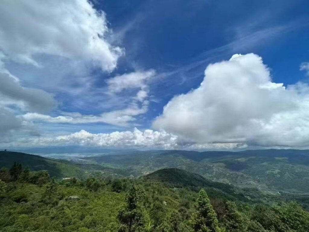 Lush tea mountains in Yongde County, Yunnan, at 6,230 ft (1,900 m) elevation, providing the ideal terroir for our smooth and clean Ripe Pu-erh tea.