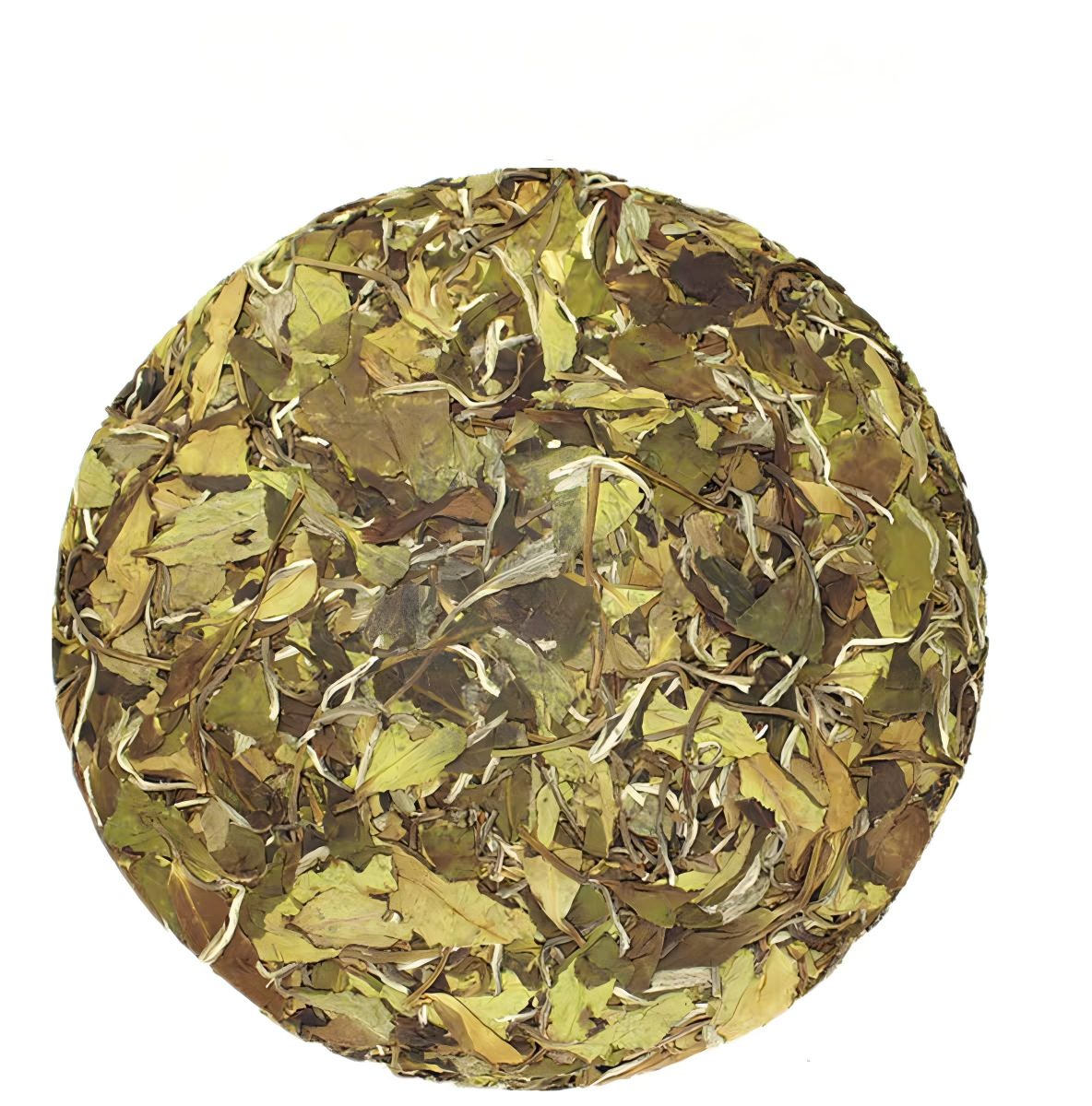 2019 Shouning spring Shou Mei white tea cake 350g front view