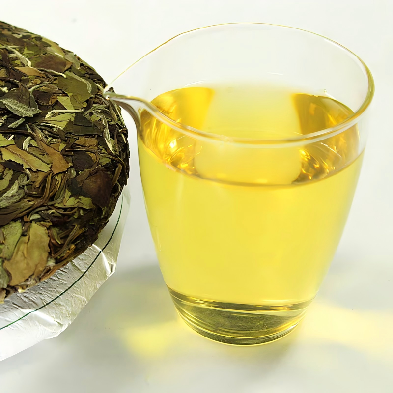 Best 2019 Aged Shou Mei Tea Cake | Shouning Spring Guide - Image 6