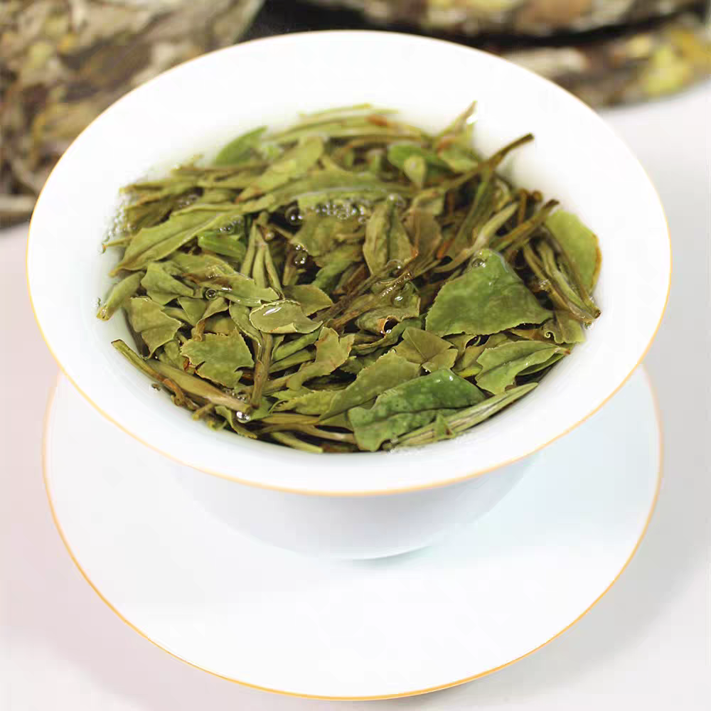 Best Bai Mu Dan Tea Cake 2024 | Shouning Rain & Mist - Image 5