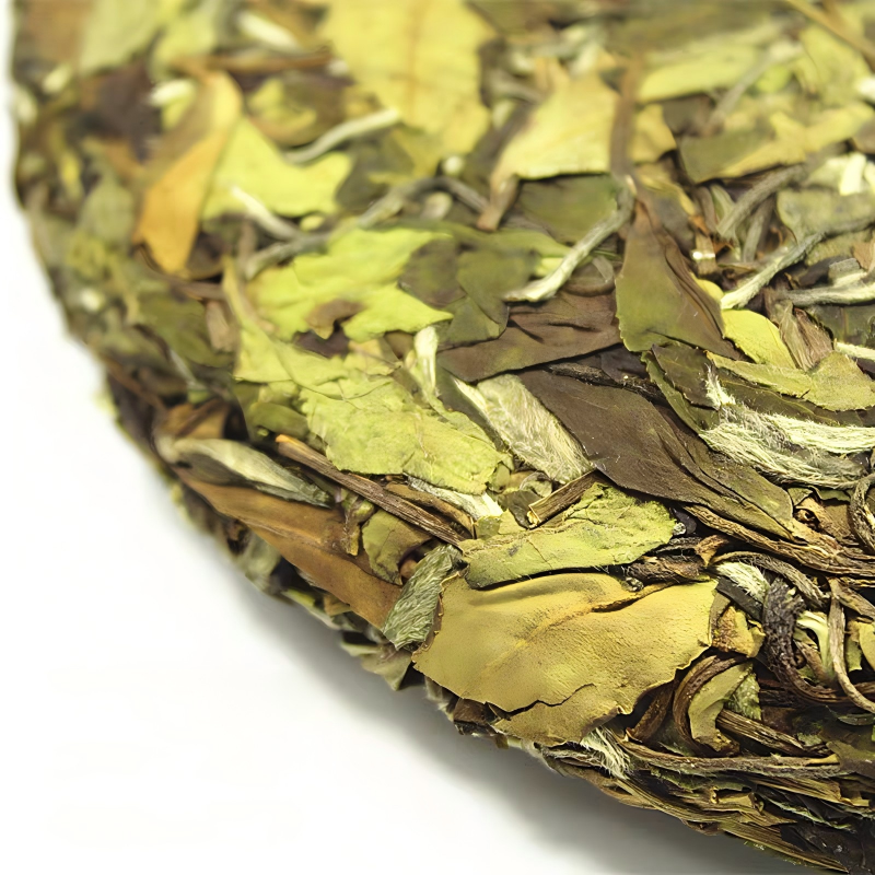 Best 2019 Aged Shou Mei Tea Cake | Shouning Spring Guide - Image 2