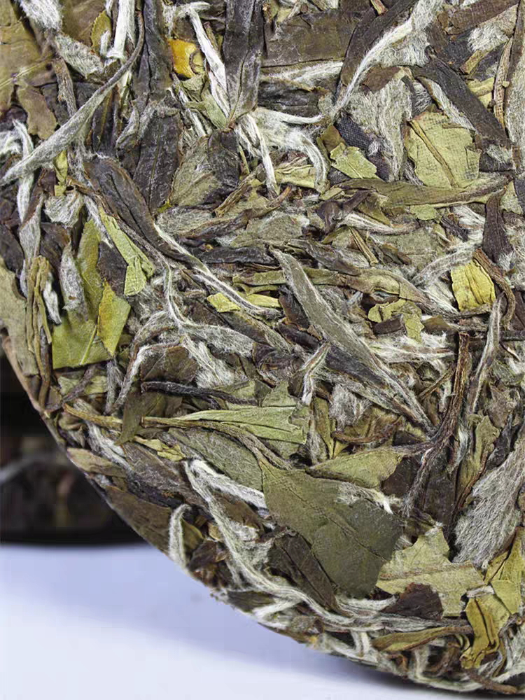 Best Bai Mu Dan Tea Cake 2024 | Shouning Rain & Mist - Image 3