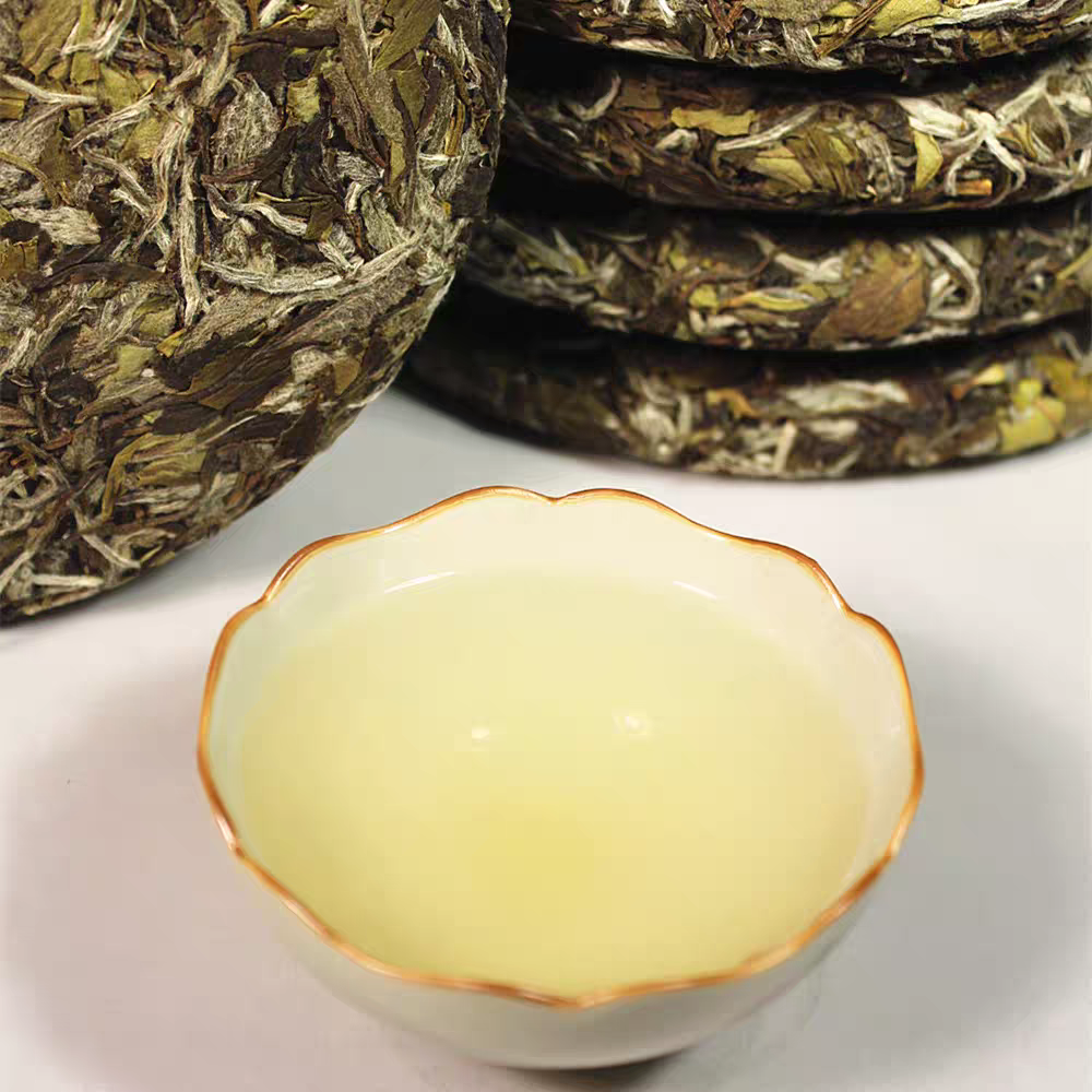 Best Bai Mu Dan Tea Cake 2024 | Shouning Rain & Mist - Image 6