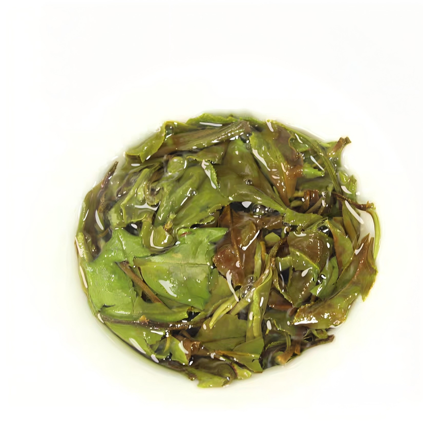 Best 2019 Aged Shou Mei Tea Cake | Shouning Spring Guide - Image 4
