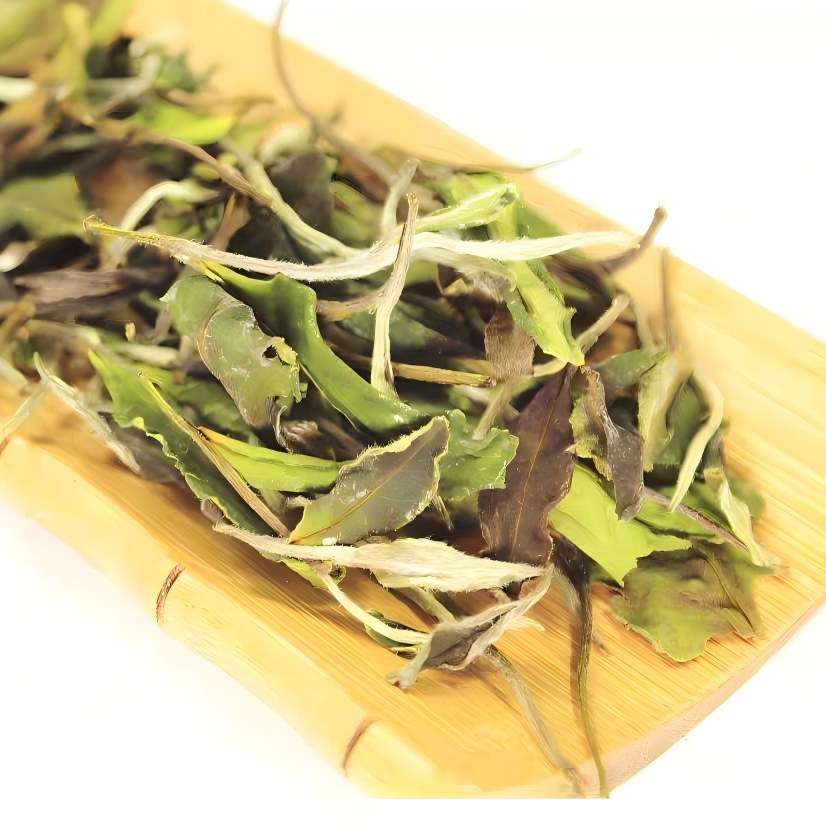 Close-up of Shou Mei white tea dry leaves with thick stems, grown in Fujian's Shouning high-mountain region