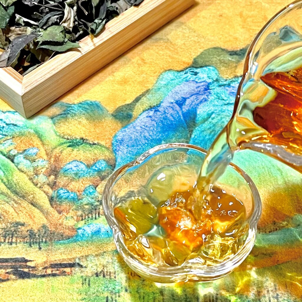 Amber orange tea liquid of 2026 Fuding Shoumei white tea poured into a clear glass pitcher.