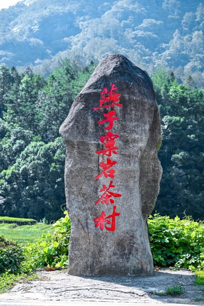 Yanzi Ke Swallow's Nest cliff terroir in Wuyi Mountains at sunrise